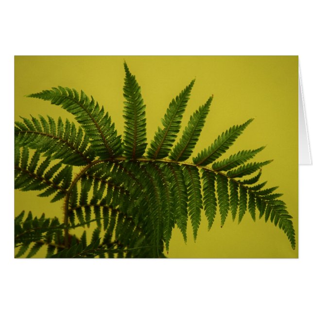 "green" by Larry Coressel (Front Horizontal)