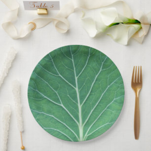 Green Cabbage Leaf 0933 Paper Plate
