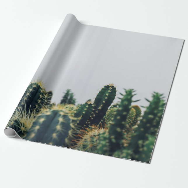 GREEN CACTI WRAPPING PAPER (Unrolled)