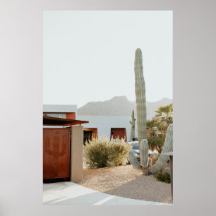 Green cactus beside houses in the morning poster