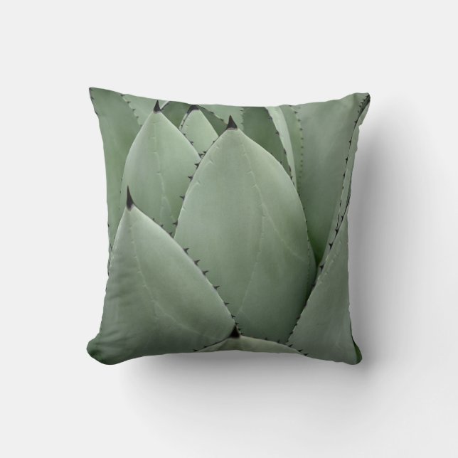 Green cactus cushion (Front)