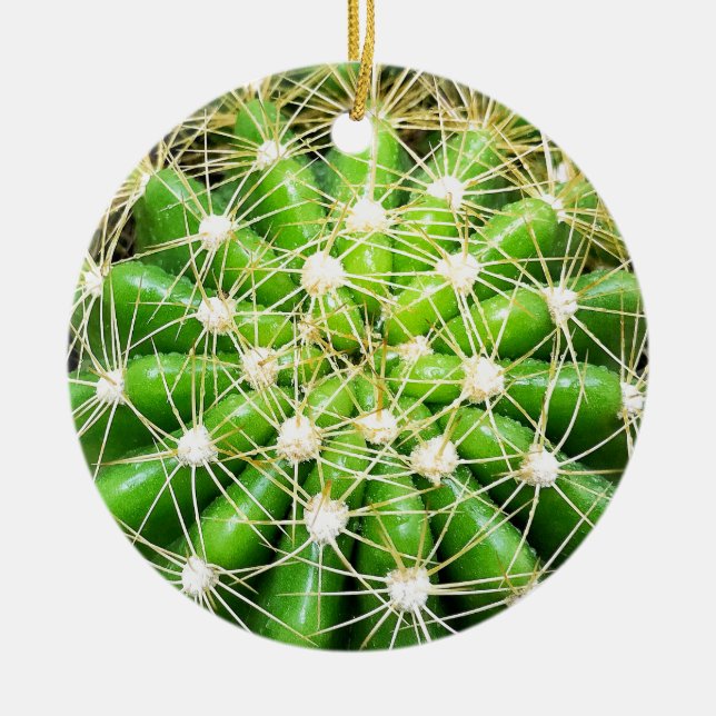 Green Cactus Dble-sided Ornament (Front)