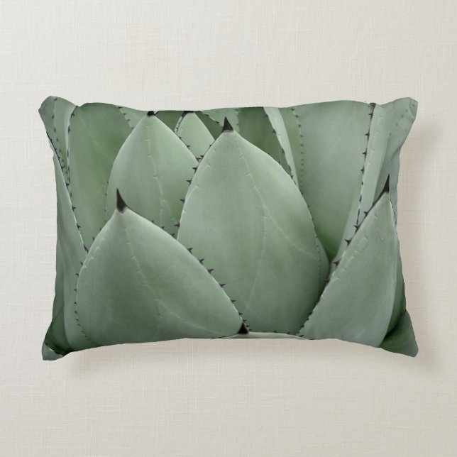 Green cactus decorative cushion (Front)