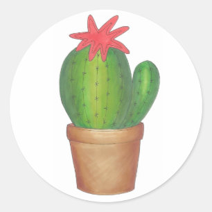 Green Cactus Flower Potted Plant Cacti Succulent Classic Round Sticker