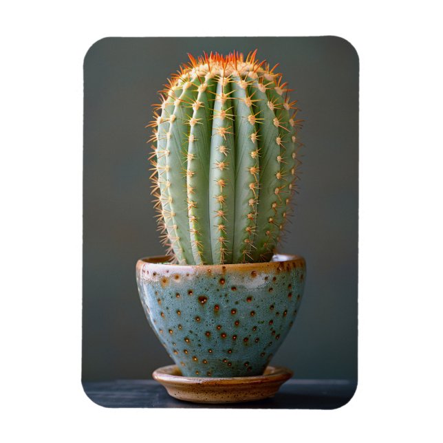 Green Cactus in a Teal Ceramic Pot Photography Magnet (Vertical)