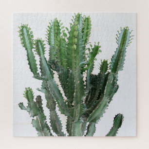 Green Cactus: Minimalist White Background Jigsaw Puzzle