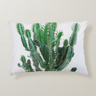 Green cactus on white background. decorative cushion