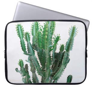 Green cactus on white background. laptop sleeve