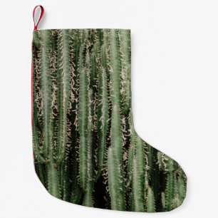 Green cactus plant close-up photo small christmas stocking