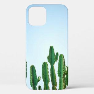 Green cactus plant in white background iPhone 12 case