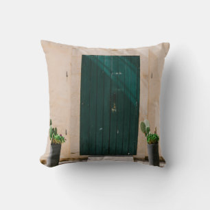 GREEN CACTUS PLANT NEAR GREEN DOOR CUSHION