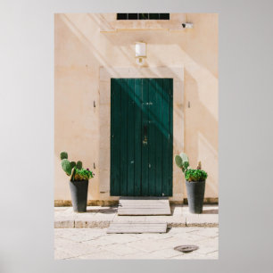 GREEN CACTUS PLANT NEAR GREEN DOOR POSTER