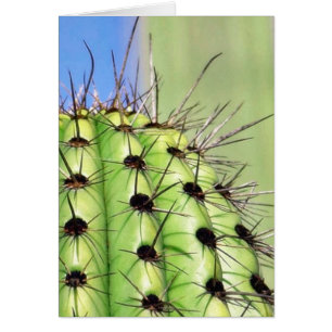 Green Cactus Thorns