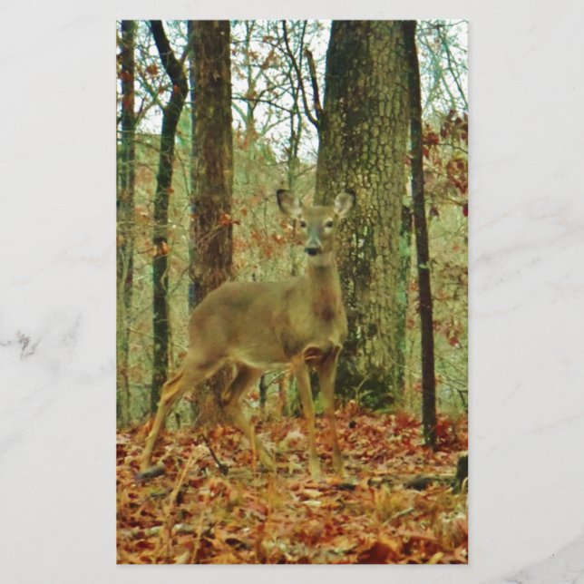 Green Camo,Camouflage Deer Stationery (Front)