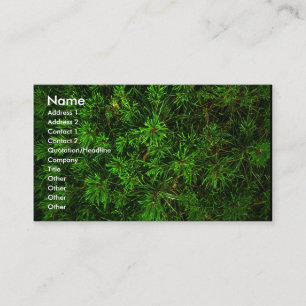 green_card business card