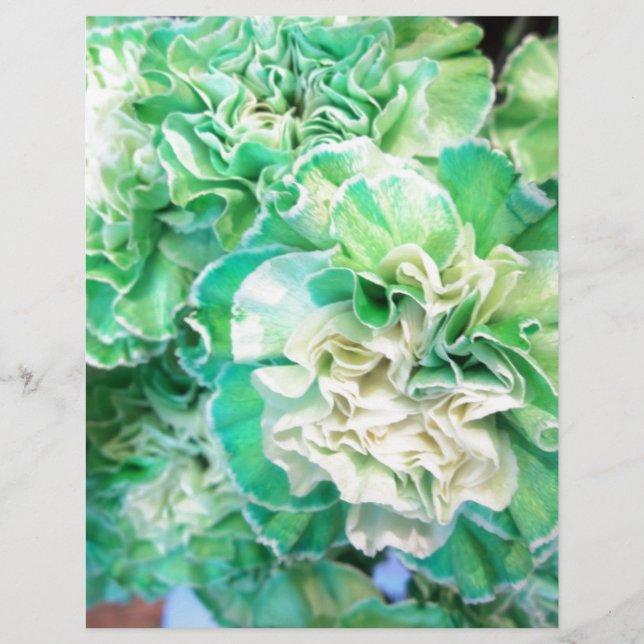 Green Carnation (Front)