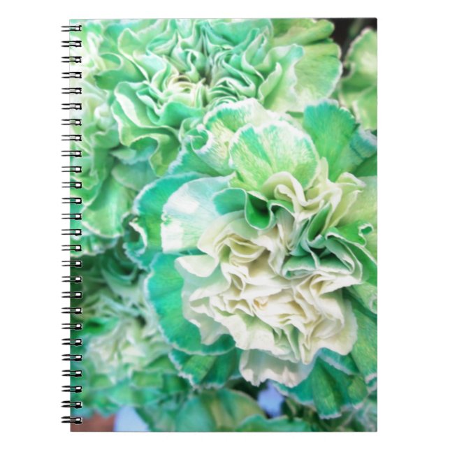 Green Carnation Notebook (Front)