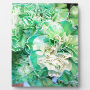 Green Carnation Plaque