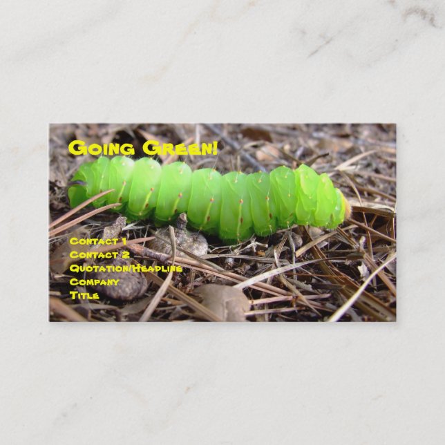 Green Caterpillar Business Card (Front)