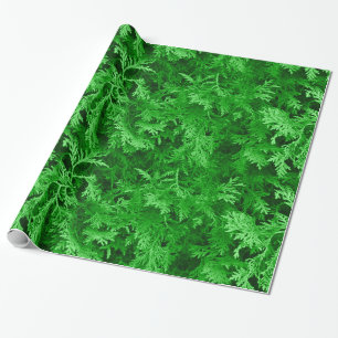 Green Cedar Wrapping Paper