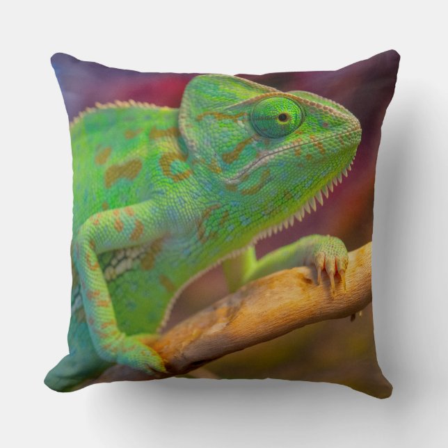 Green Chameleon Cushion (Front)