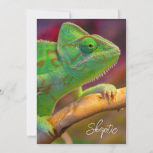 Green Chameleon Invitation