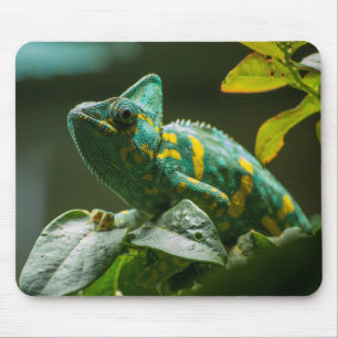 Green Chameleon Mouse Pad