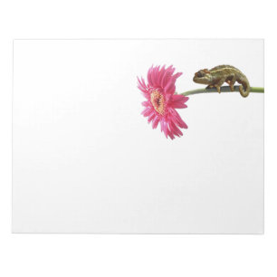 Green chameleon on pink flower notepad
