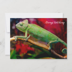 Green chameleon on the branch card