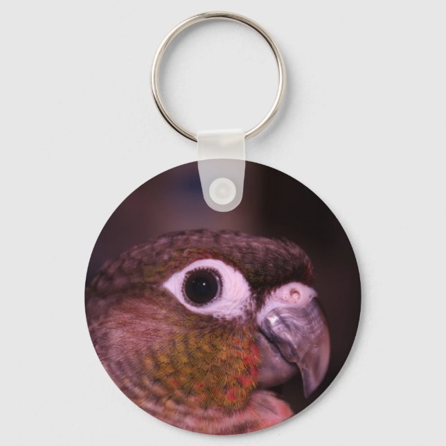 Green Cheek Conure Key Ring (Front)