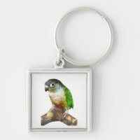 Green Cheek Conure