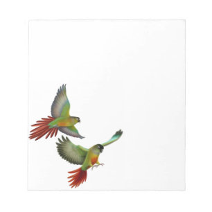 Green Cheek Conure Parrots Notepad