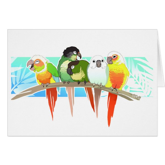 Green Cheek Conures (Front Horizontal)