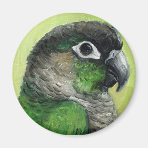 "Green Cheeked Conure" Bird Art Magnet