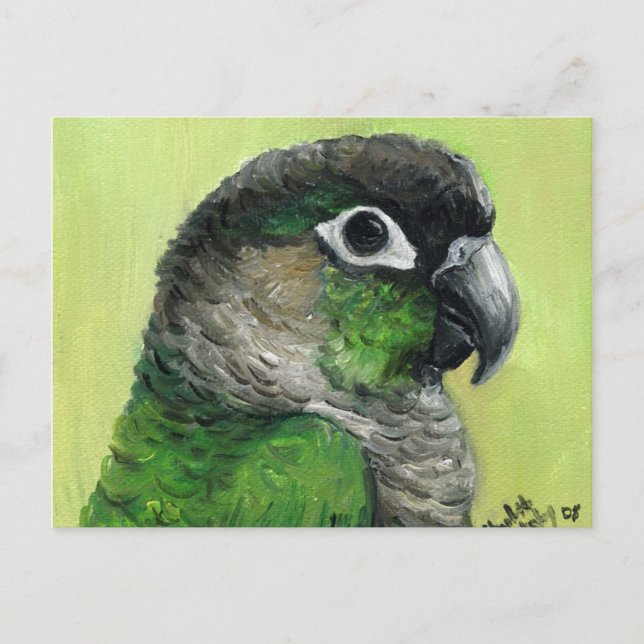 "Green Cheeked Conure" Bird Art Postcard (Front)