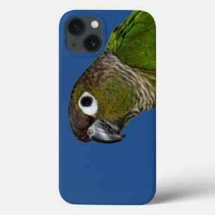 Green Cheeked Conure iPhone 13 Case
