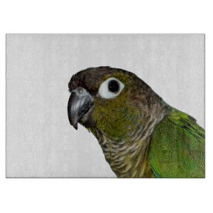Green Cheeked Conure Cutting Board