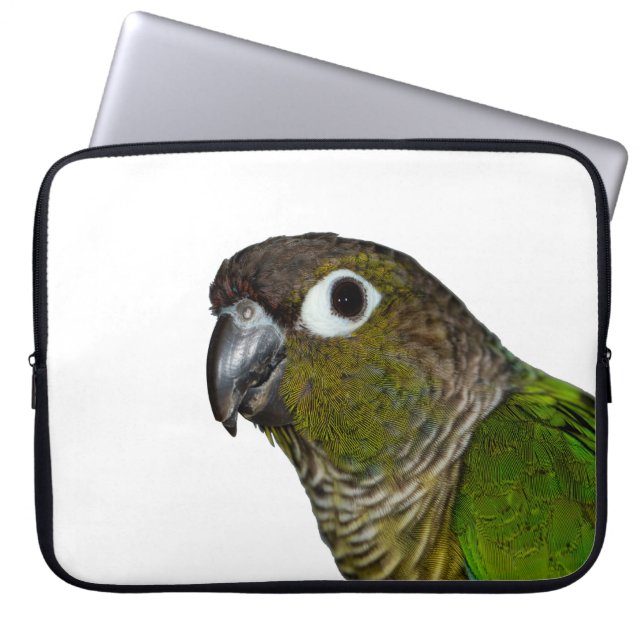 Green Cheeked Conure Laptop Sleeve (Front)