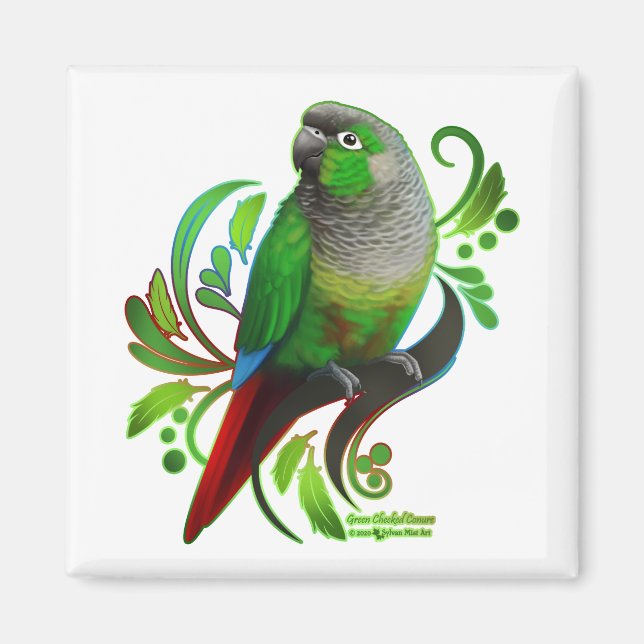 Green Cheeked Conure Magnet (Front)