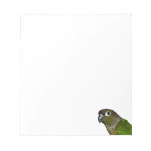 Green Cheeked Conure Notepad