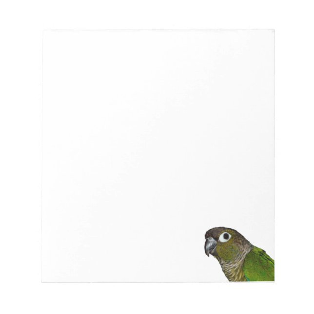 Green Cheeked Conure Notepad (Front)