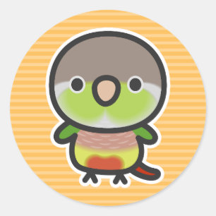 Green-cheeked parakeet / Pineapple Classic Round Sticker
