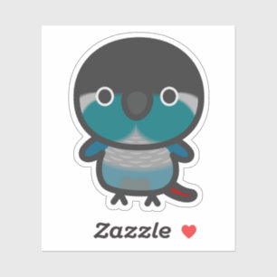 Green-cheeked parakeet / Turquoise