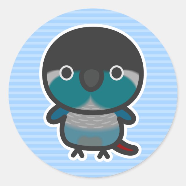 Green-cheeked parakeet / Turquoise Classic Round Sticker (Front)