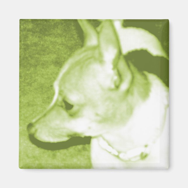 Green Chihuahua Pop Art Magnet (Front)