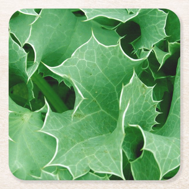 Green Christmas Holly Square Paper Coaster (Front)