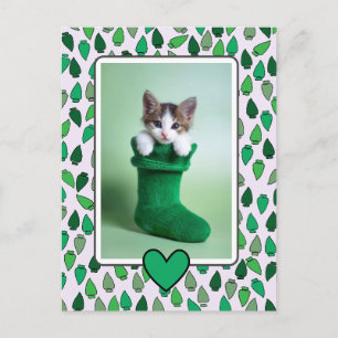 Green Christmas Lights Holiday Postcard