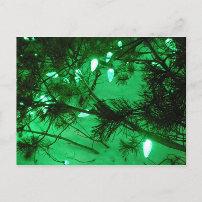 Green Christmas Lights Holiday Postcard (Front)