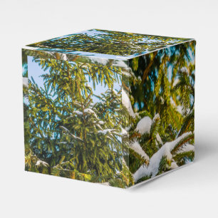 Green Christmas Tree In Snow Favour Box