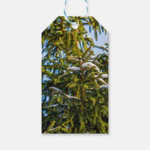 Green Christmas Tree In Snow Gift Tags